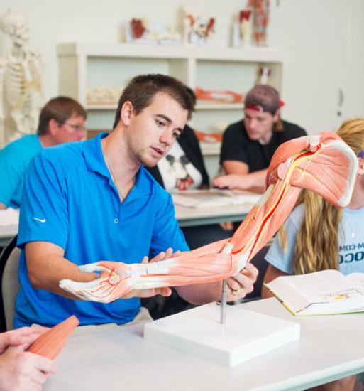 正在学习肌肉骨骼手臂解剖的学生.